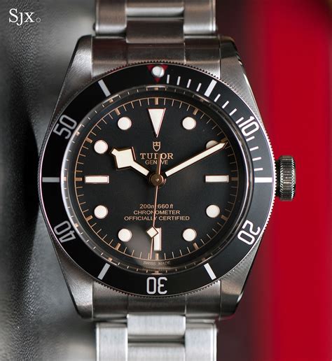 79230n tudor|tudor heritage black bay 79230b.